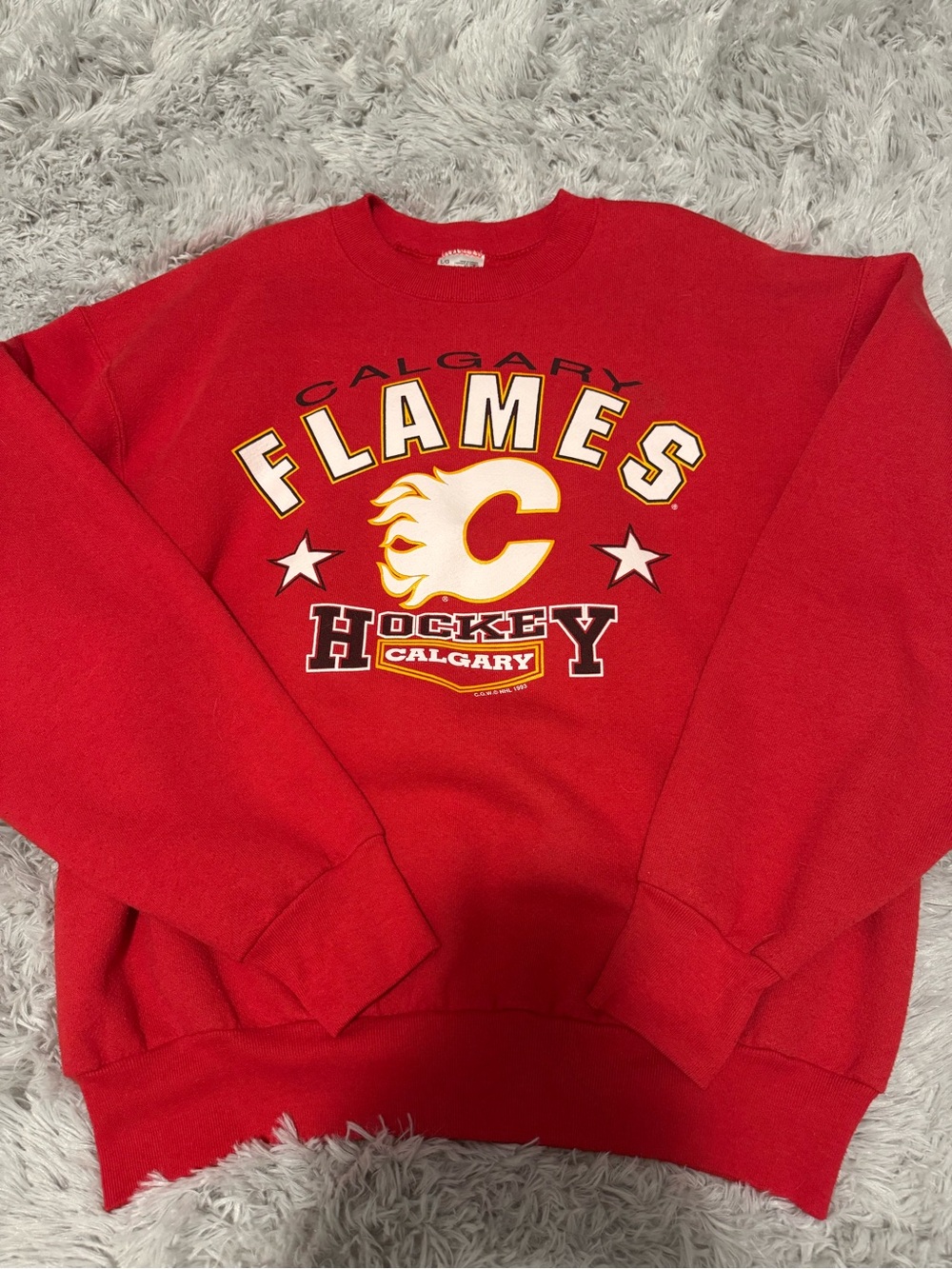 Vintage 1993 Calgary Flames Red Graphic Hockey Crewneck Sweatshirt